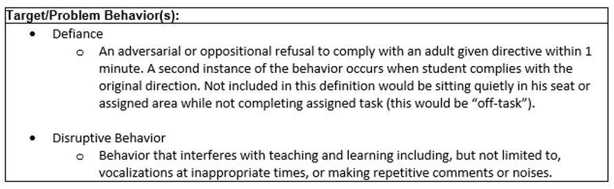 Snip of Target/Problem Behaviors for a BIP