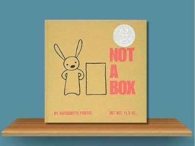 Not a Box - Antoinette Portis book cover