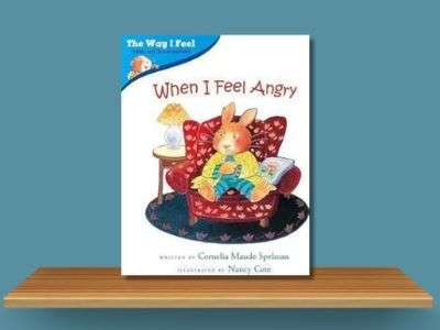 when i feel angry by cornelia maude spelman (1) book cover