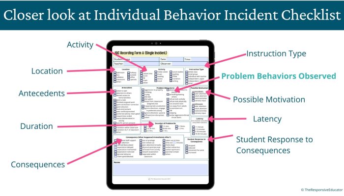 Closer look at Individual Behavior Incident Checklist