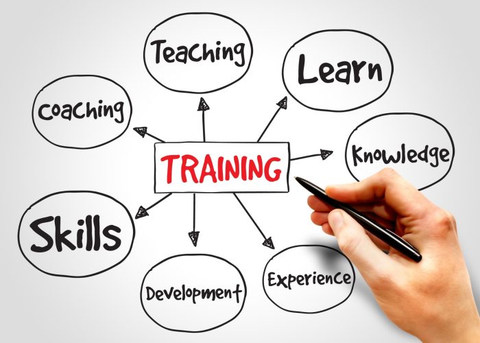 word web around the term "training"